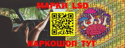 apvp Шелехов