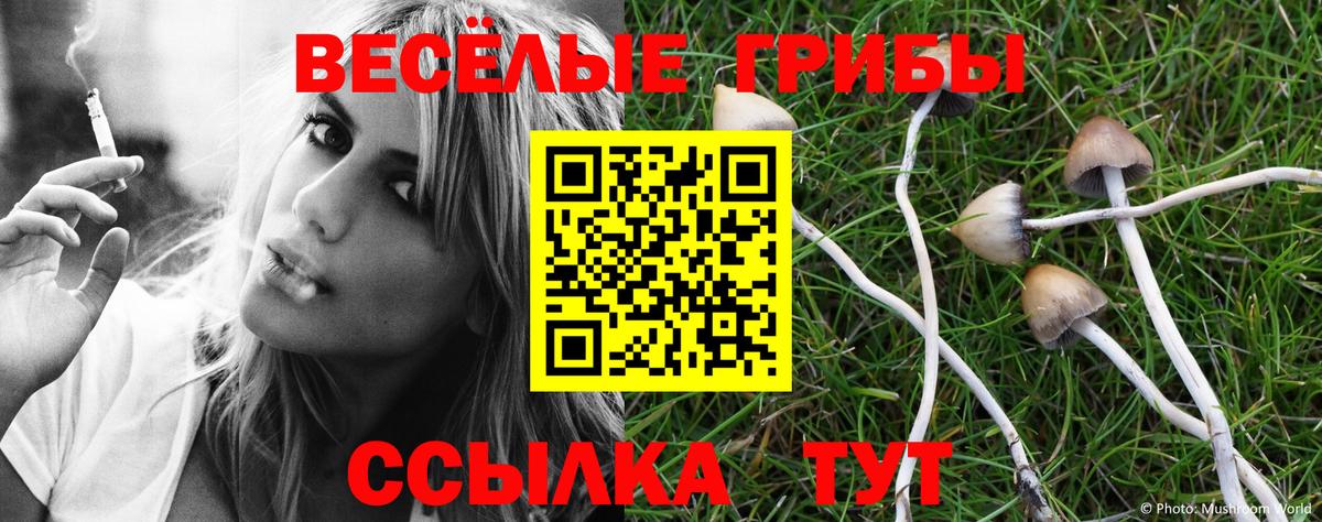 Балашиха  Галлюциногенные грибы GOLDEN TEACHER  Галлюциногенные грибы Psilocybine cubensis  Вход с VPN 