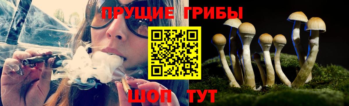 Галлюциногенные грибы Cubensis Балашиха
